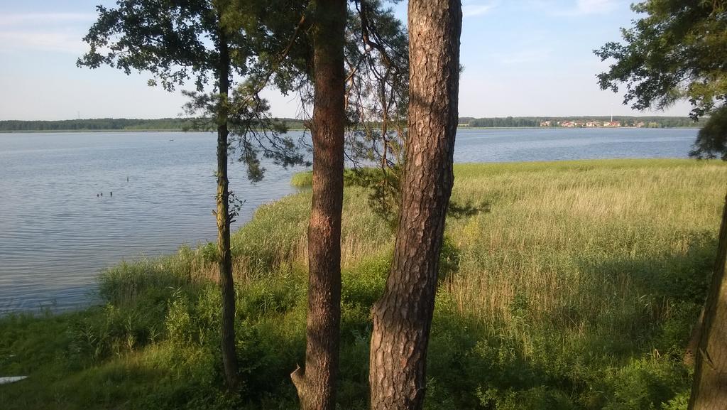 Apartament Sloneczna Radzyn ภายนอก รูปภาพ